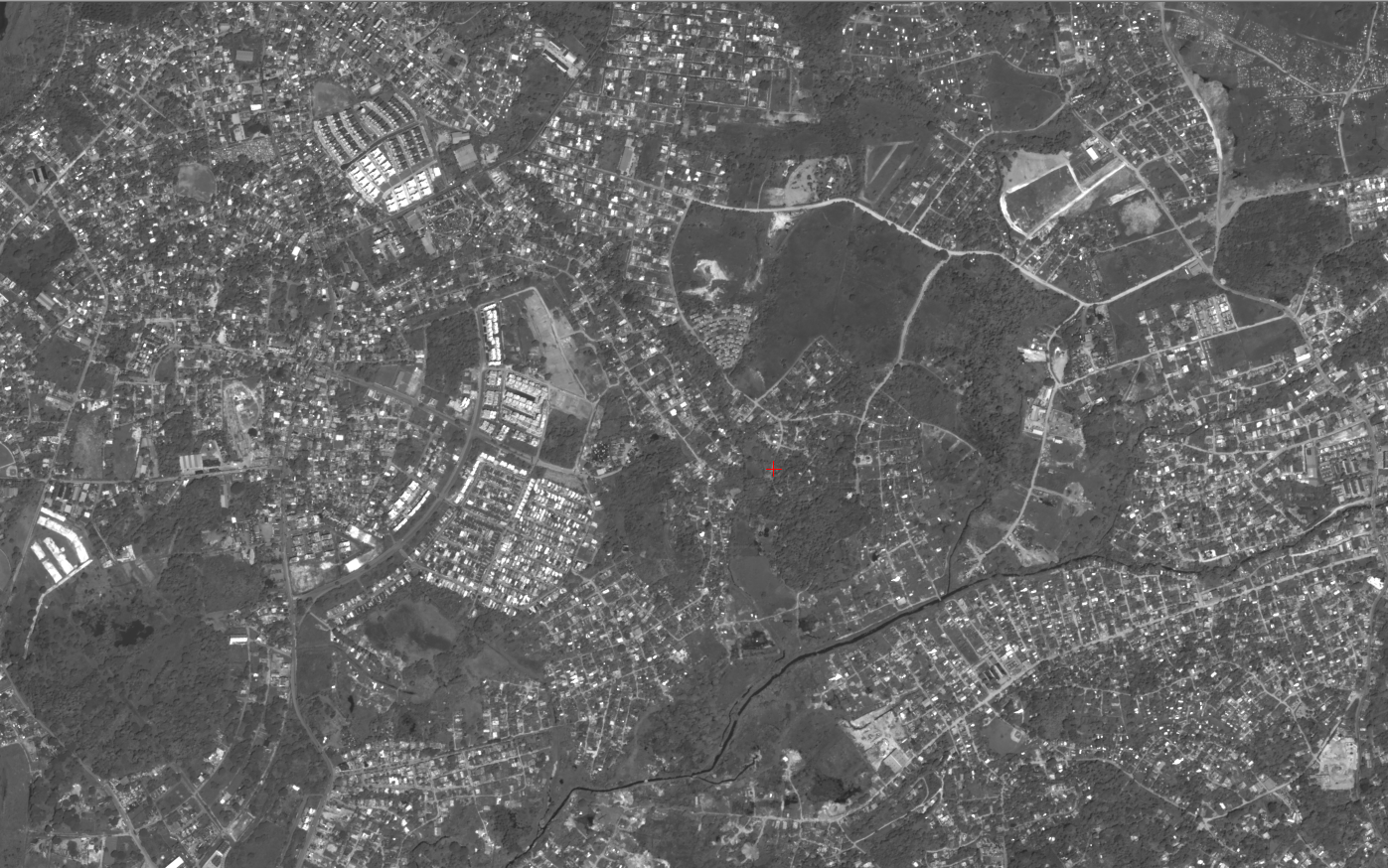 Satellite image processing - vegetation analysis